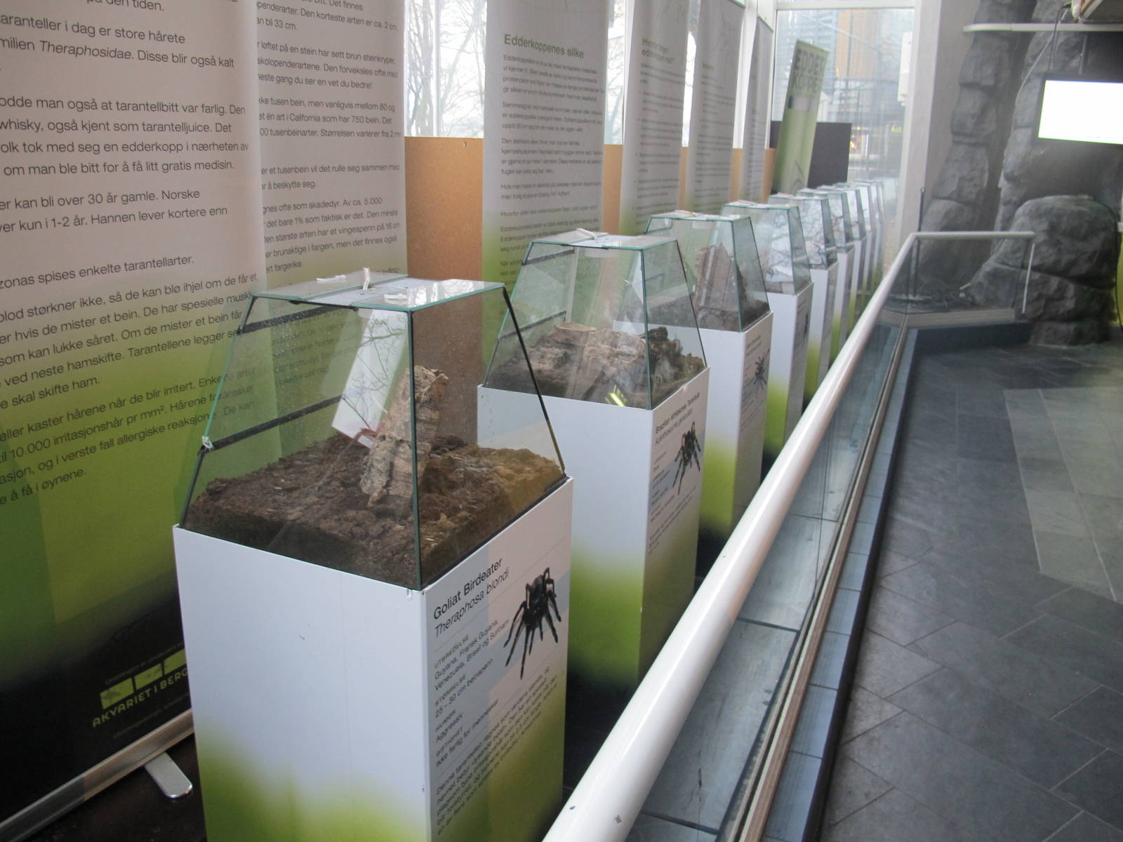 Spider Exhibits - Bergen Akvariet 2012