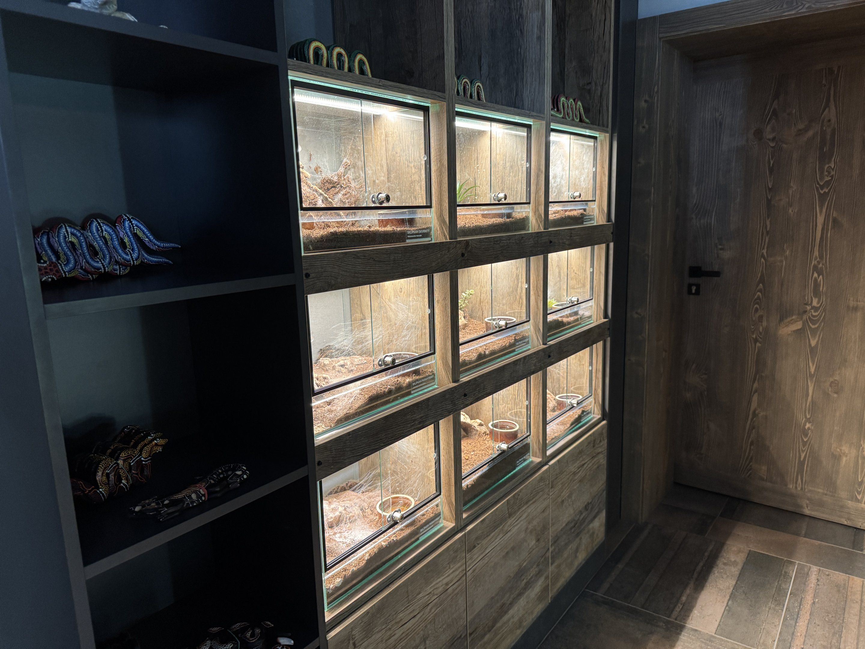 Spider exhibits - Terrarium Staré Město