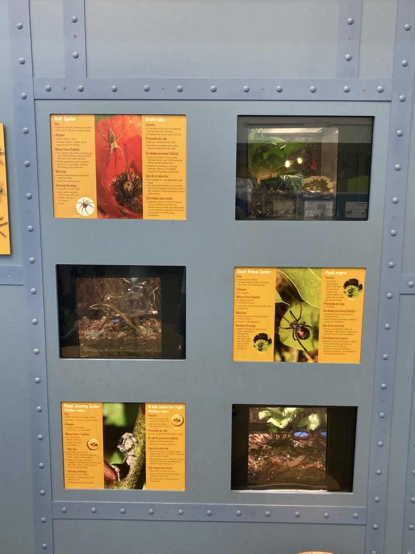 Spider Exhibits (with signage)