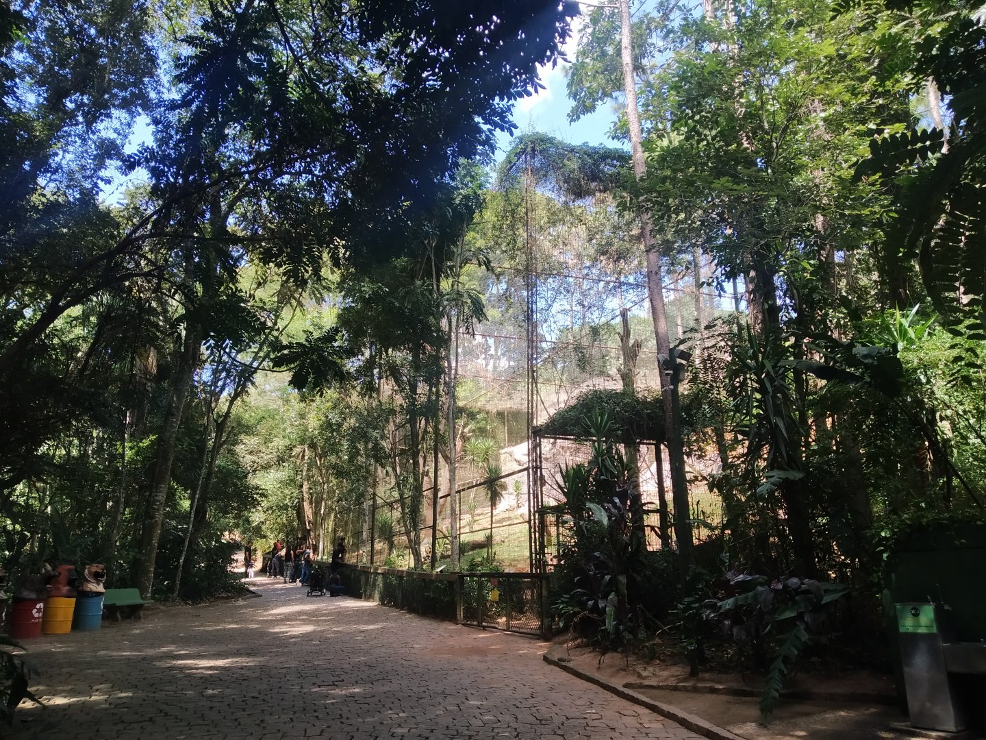 Spider monkey aviairy