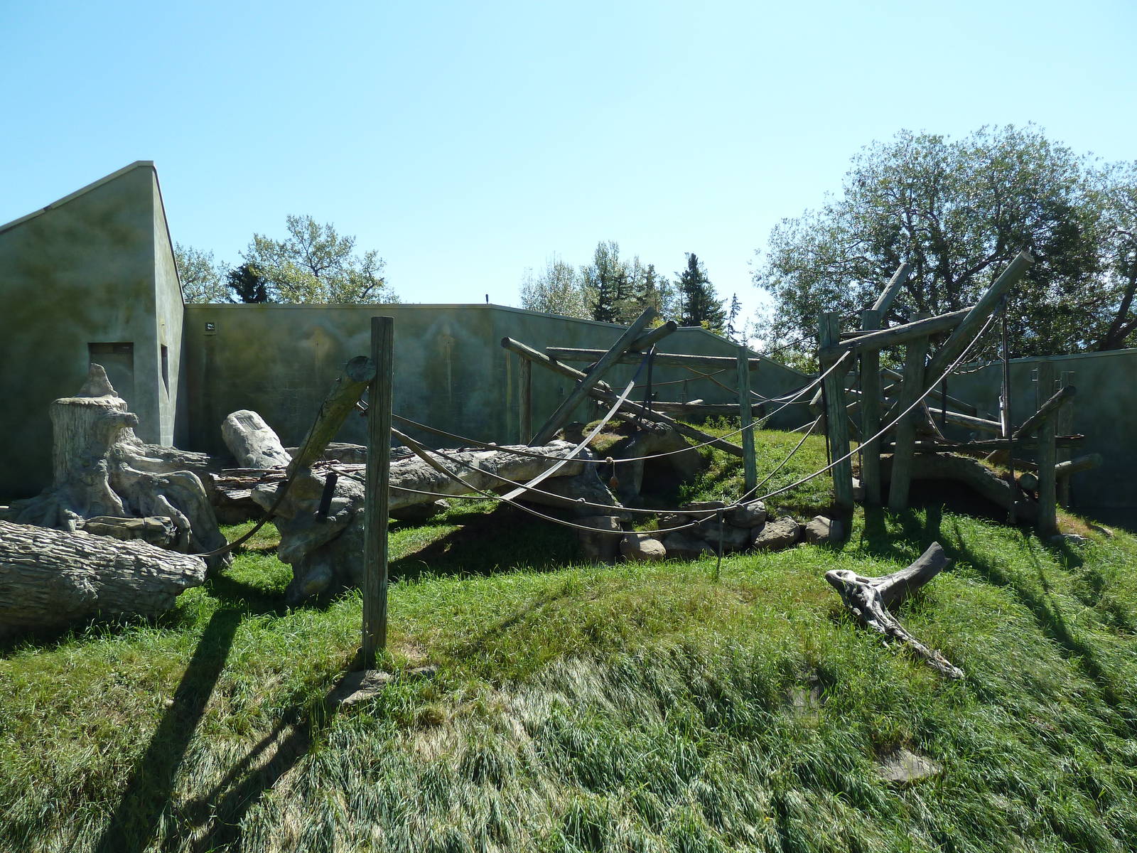 Spider Monkey/DeBrazza Guenon Exhibit