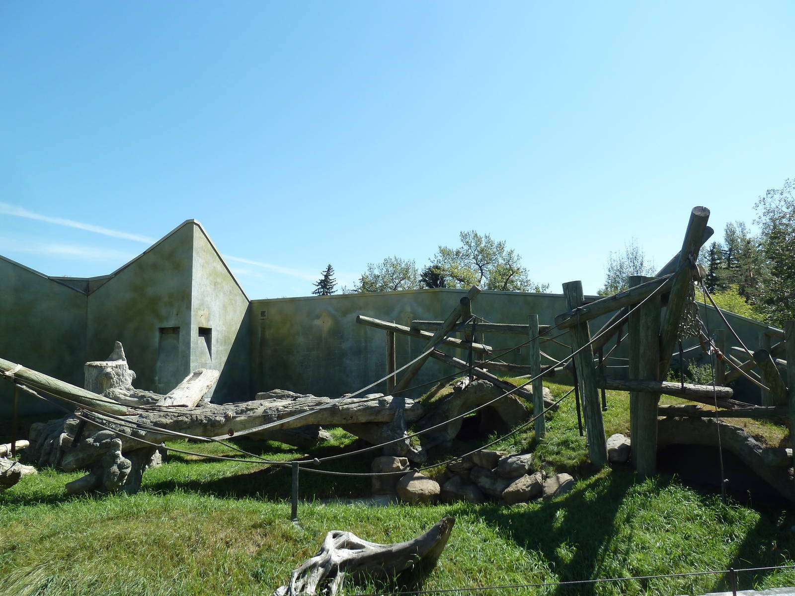 Spider Monkey/DeBrazza Guenon Exhibit
