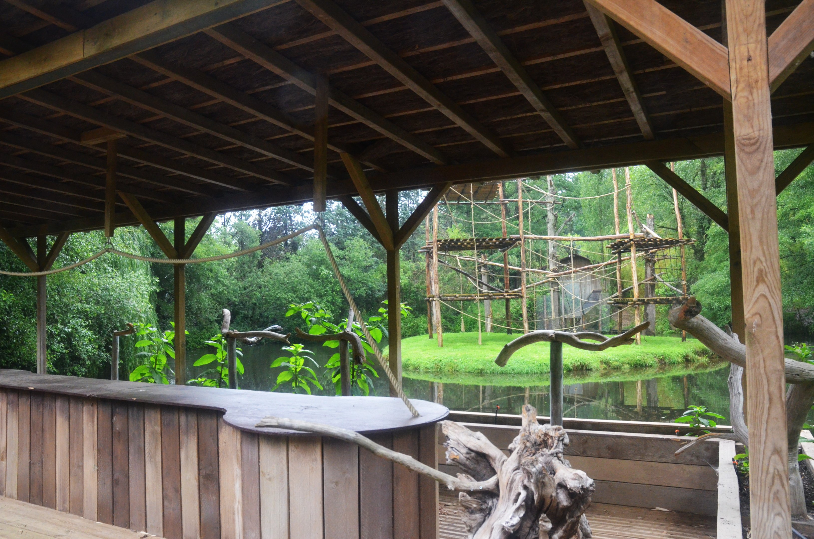 Spider Monkey Enclosure and Parrot Show Stage at La Flèche, 11/06/18