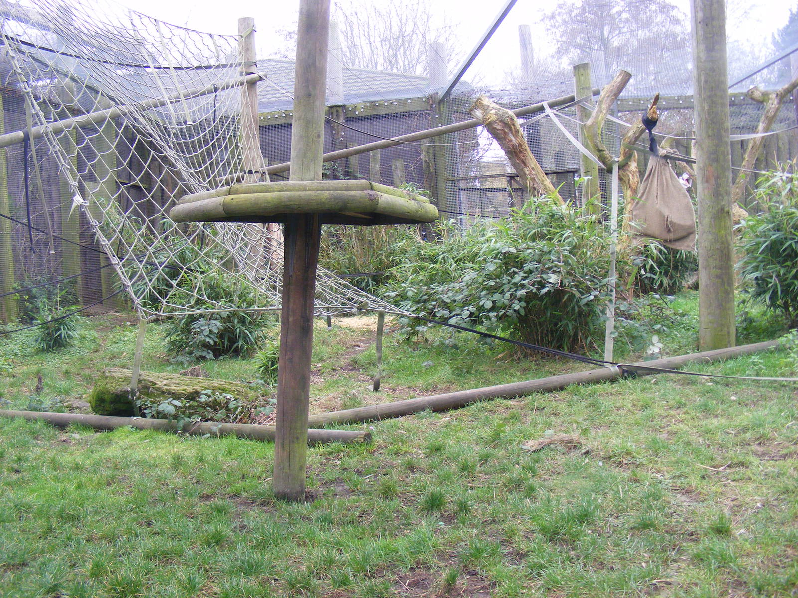Spider monkey enclosure at Chessington Zoo, 6 February 2011