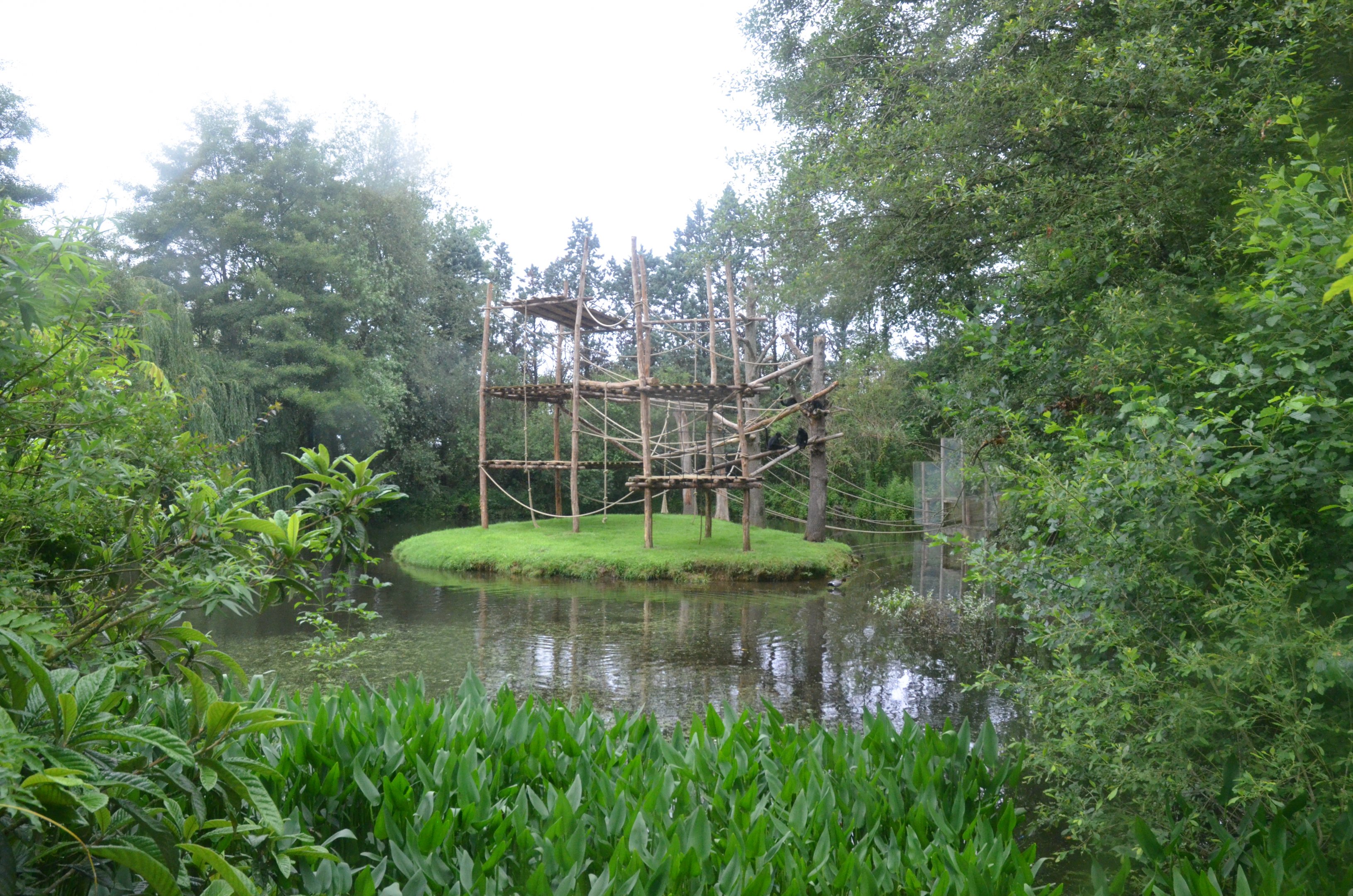 Spider Monkey Enclosure at La Flèche, 11/06/18