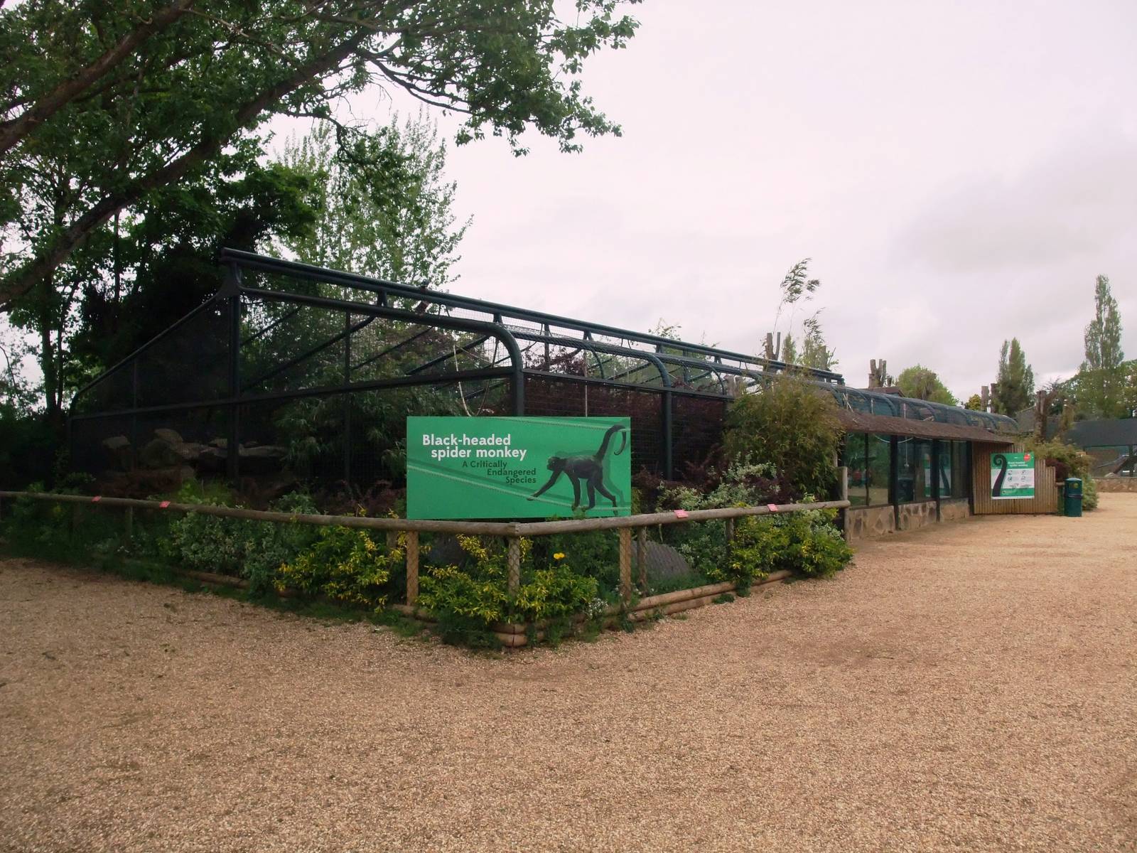 Spider Monkey Enclosure at Twycross, 18/05/13
