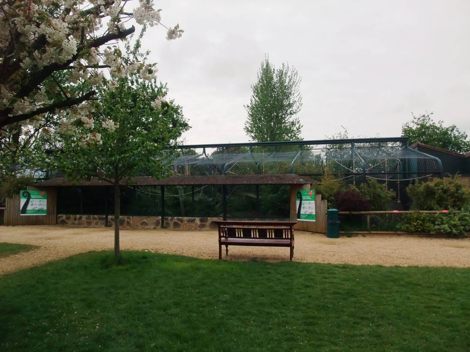Spider Monkey Enclosure at Twycross, 18/05/13