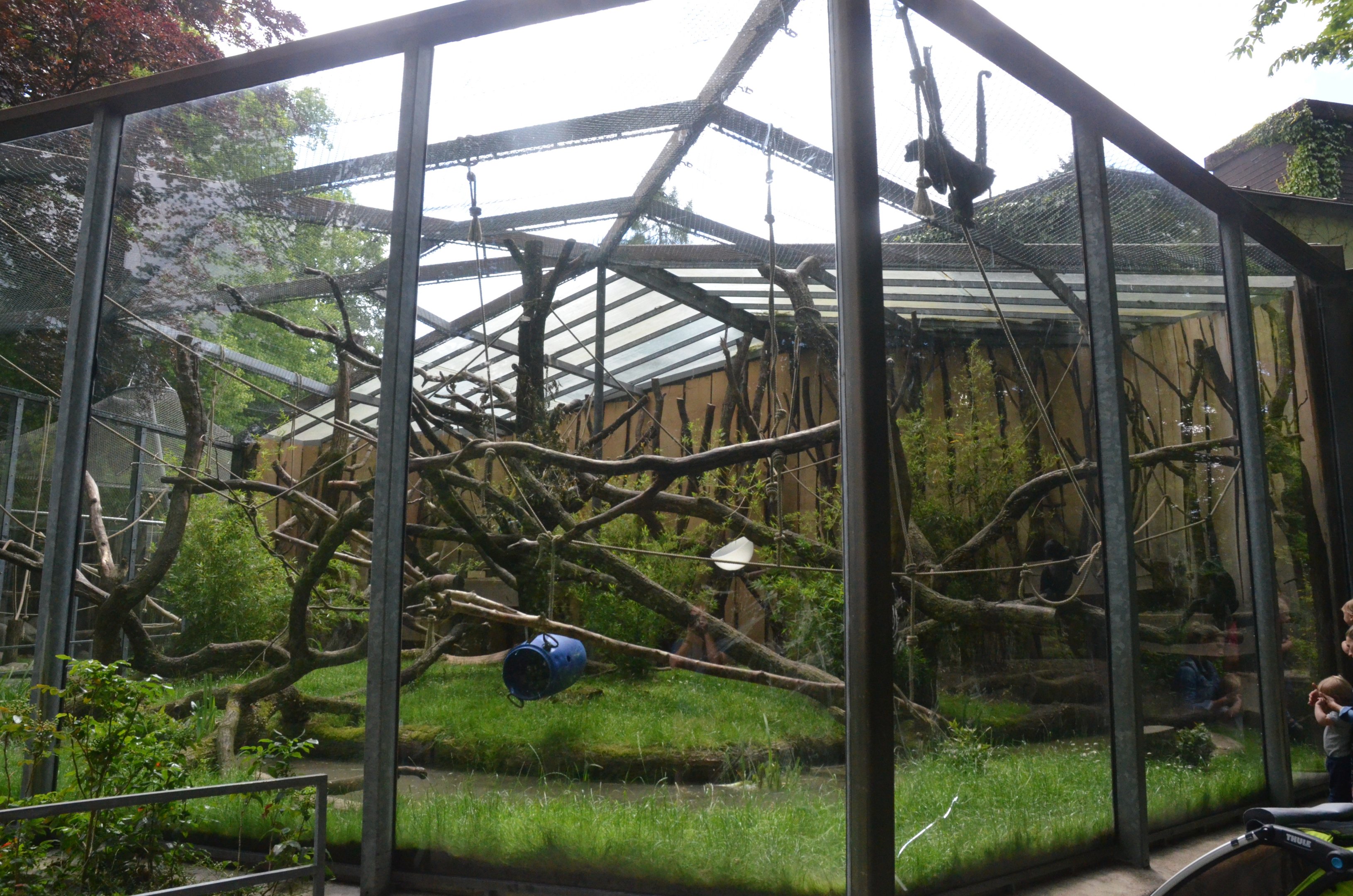 Spider Monkey Enclosure at Wuppertal, 16/06/19