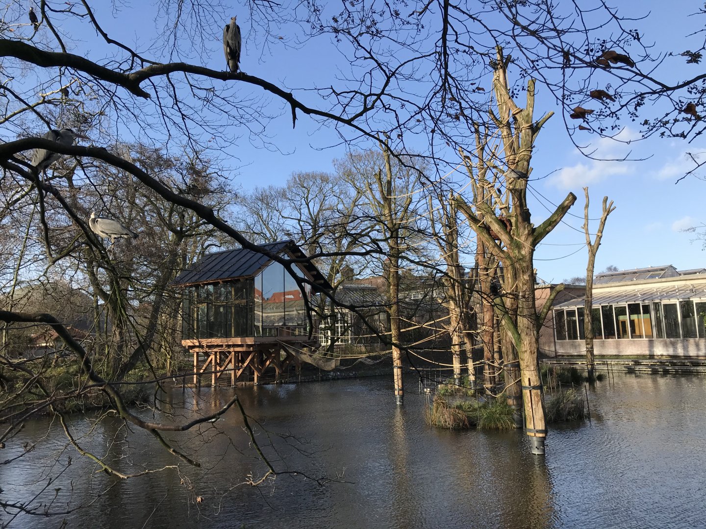 Spider monkey enclosure in winter
