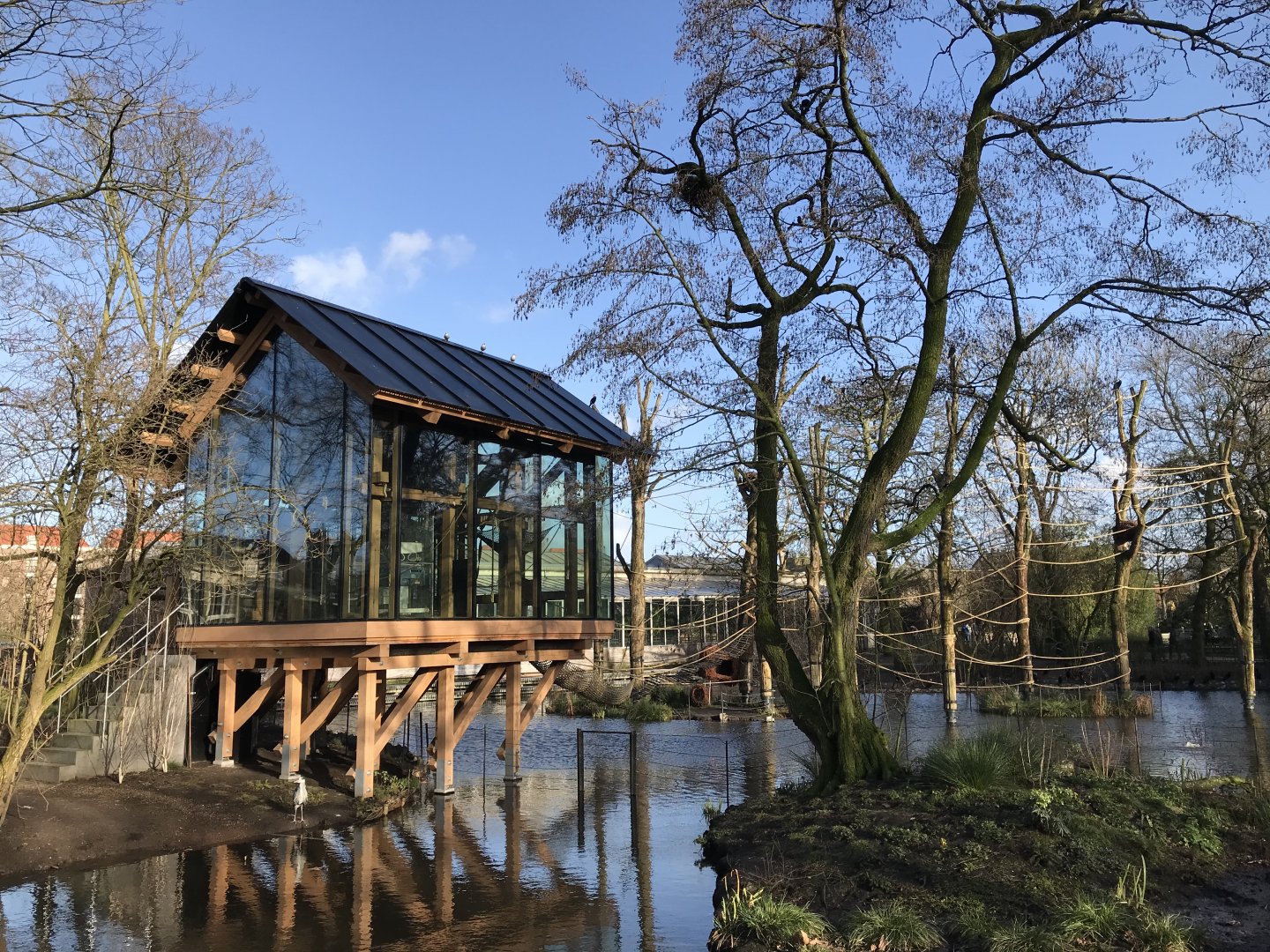 Spider monkey enclosure in winter