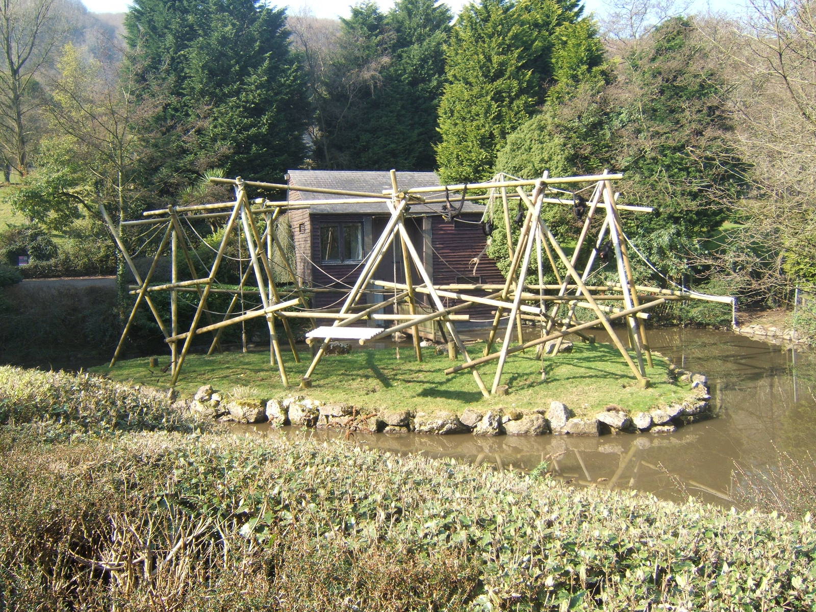 Spider Monkey enclosure