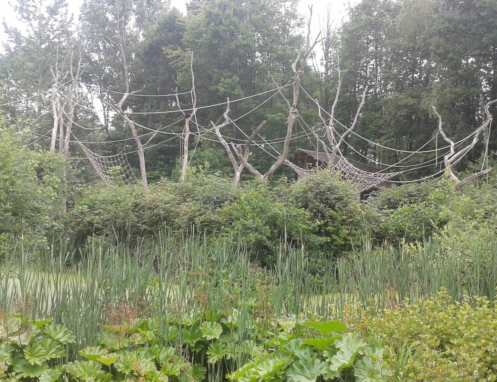 Spider monkey enclosure