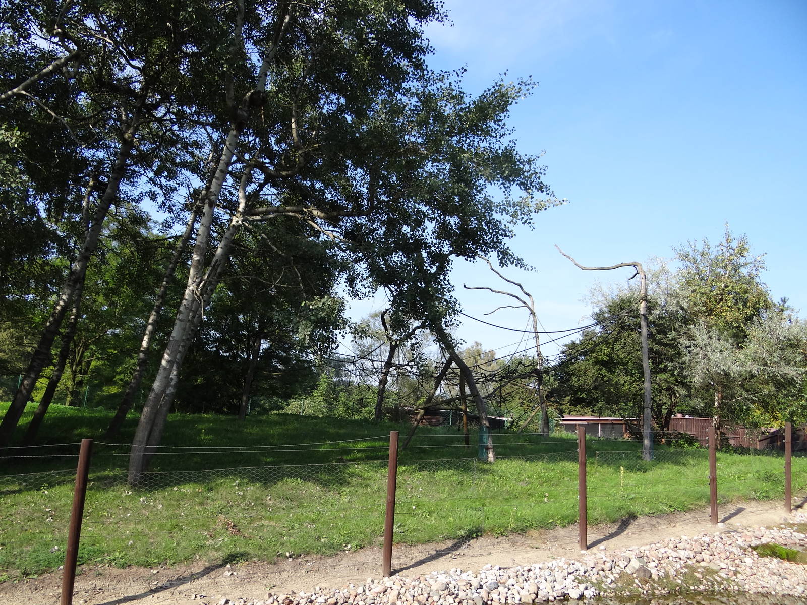 Spider monkey enclosure