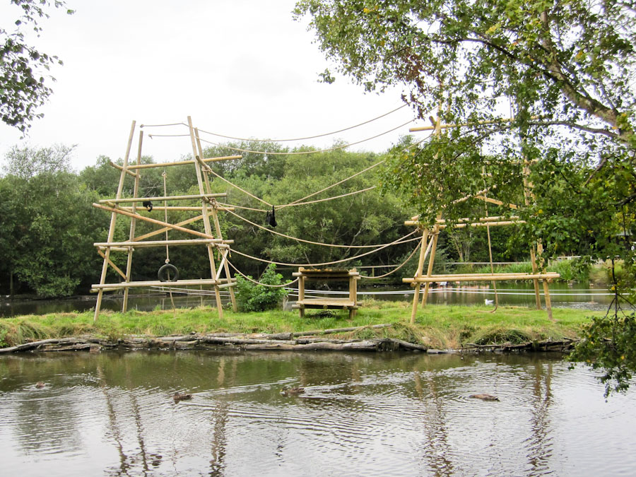 Spider monkey enclosure
