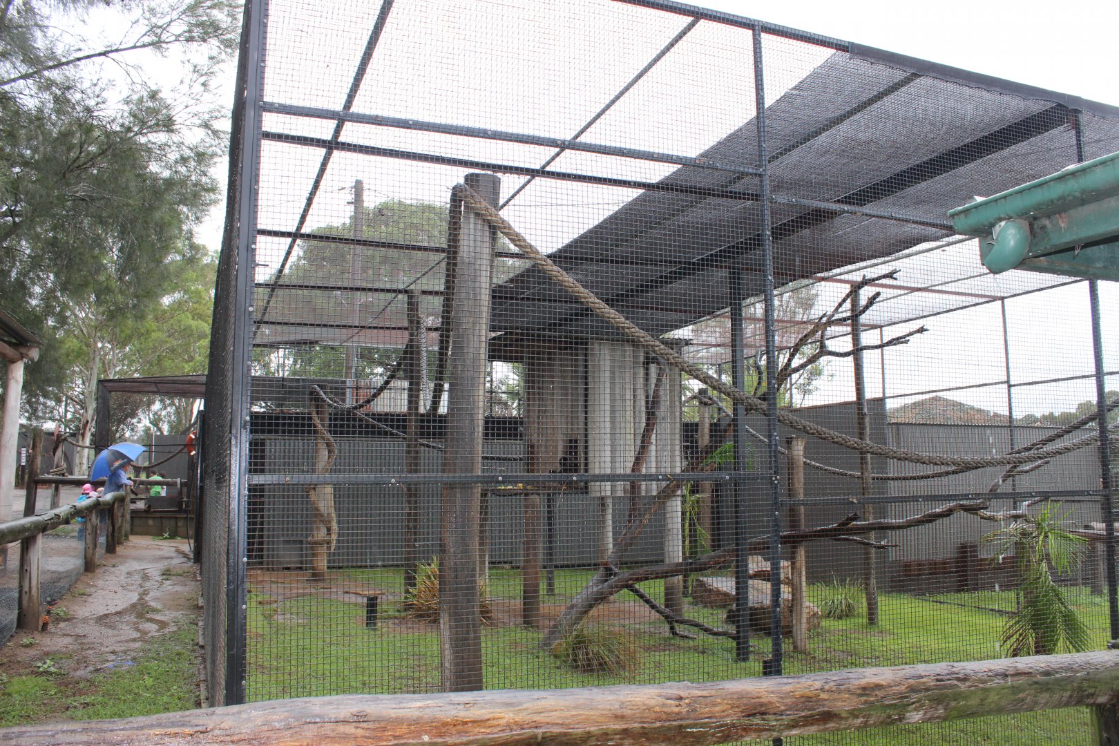 Spider Monkey enclosure