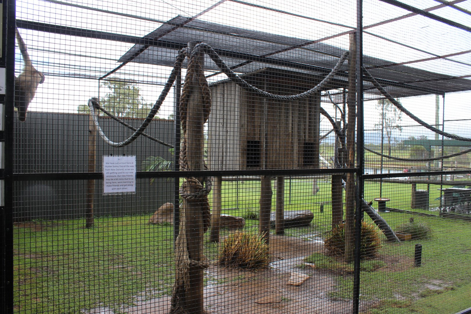 Spider Monkey enclosure