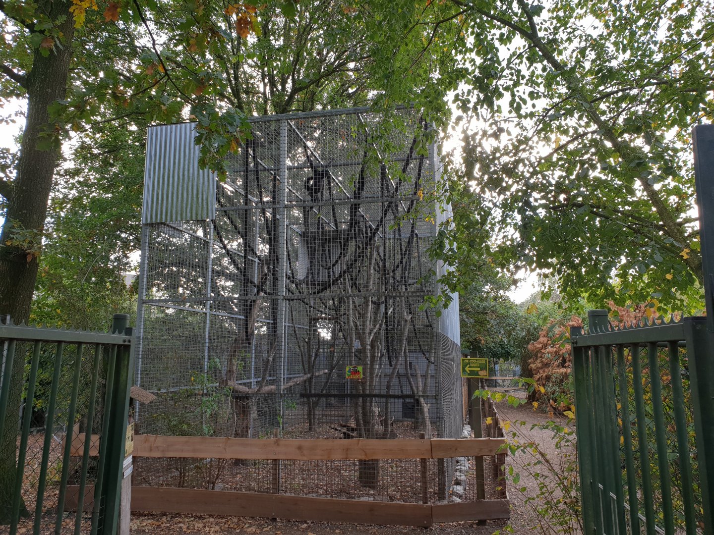 Spider monkey enclosure