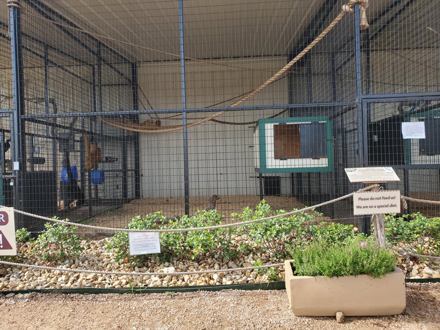 Spider Monkey Enclosure