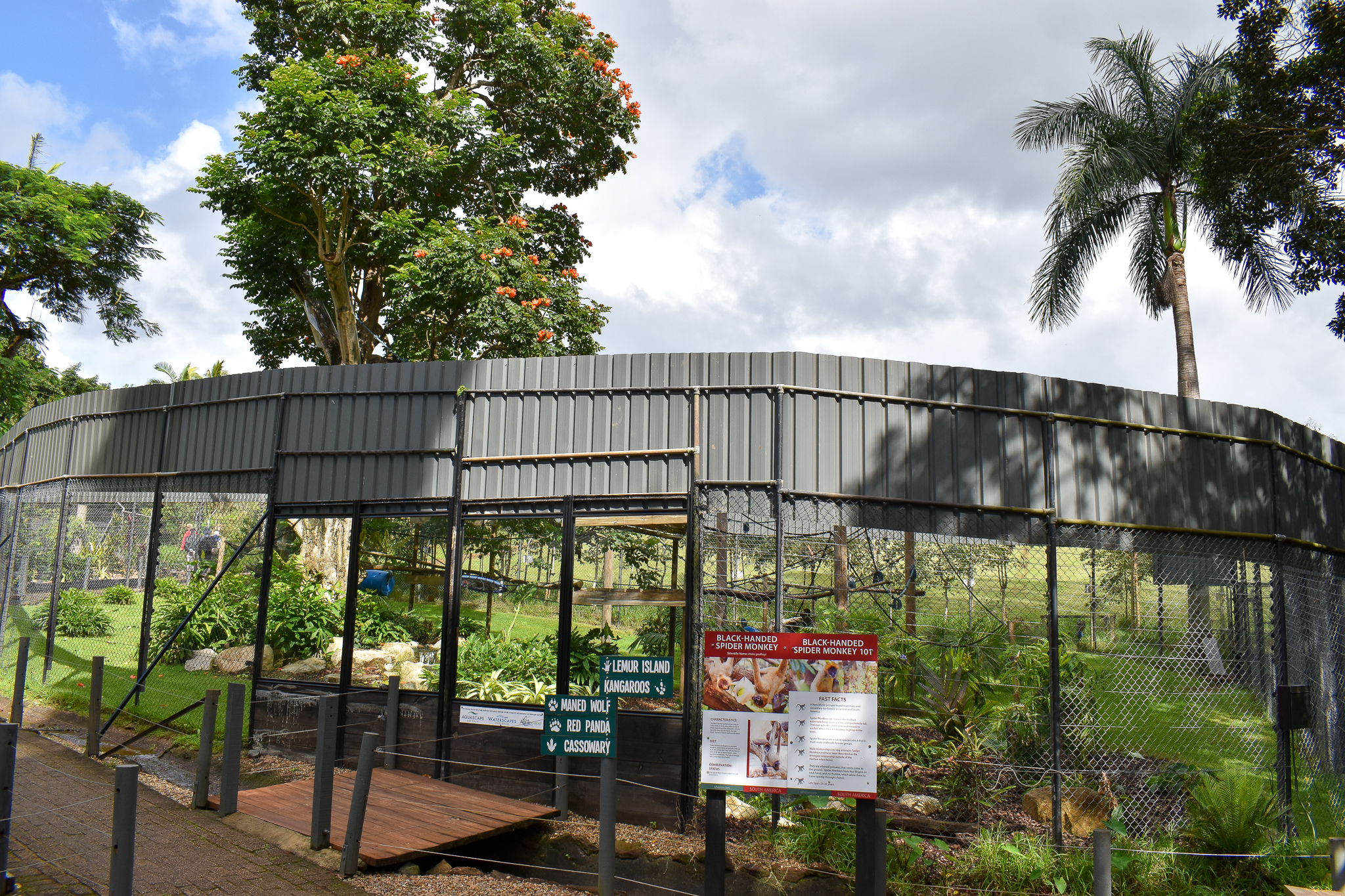 Spider Monkey Enclosure