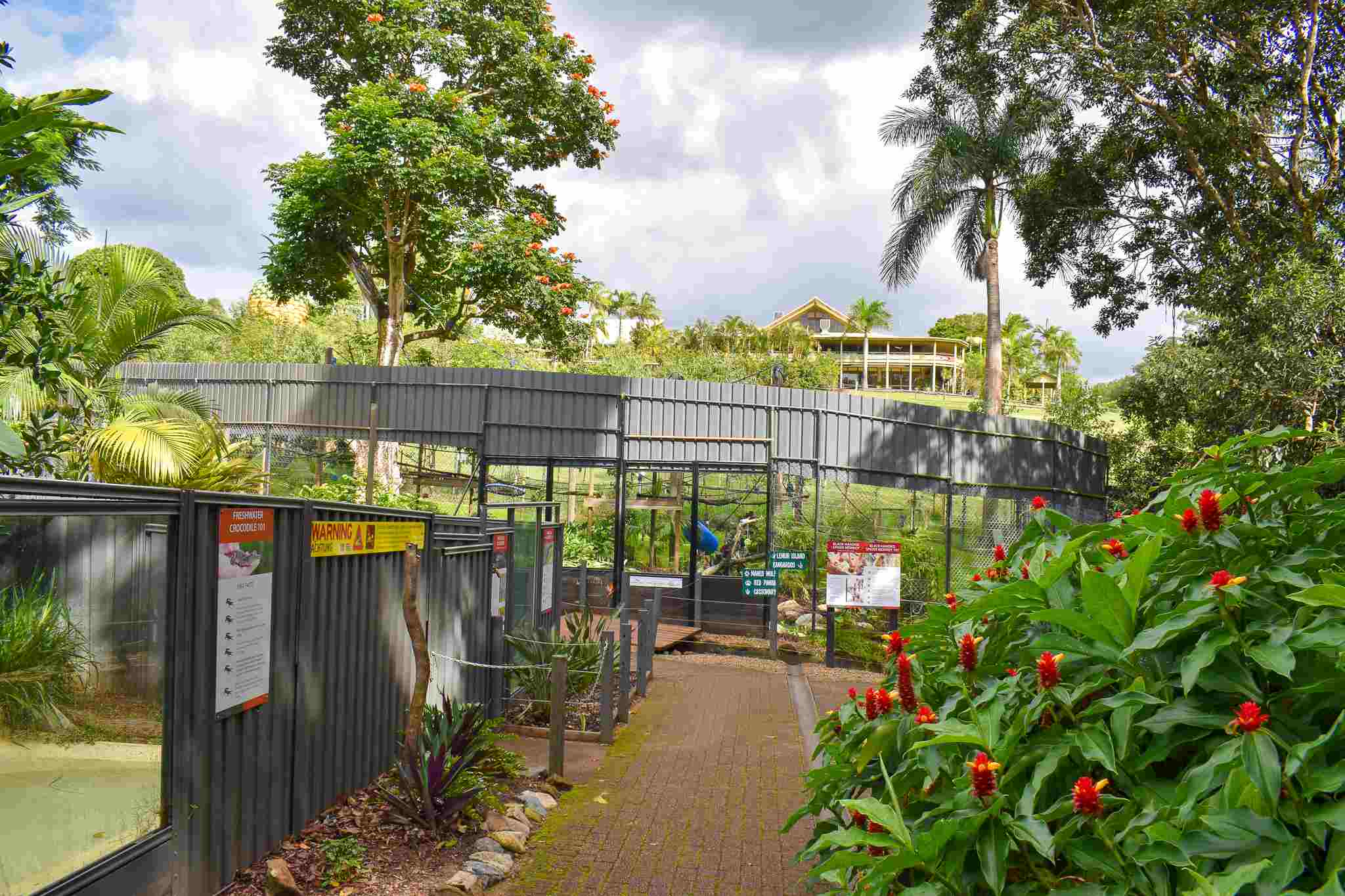 Spider Monkey Enclosure