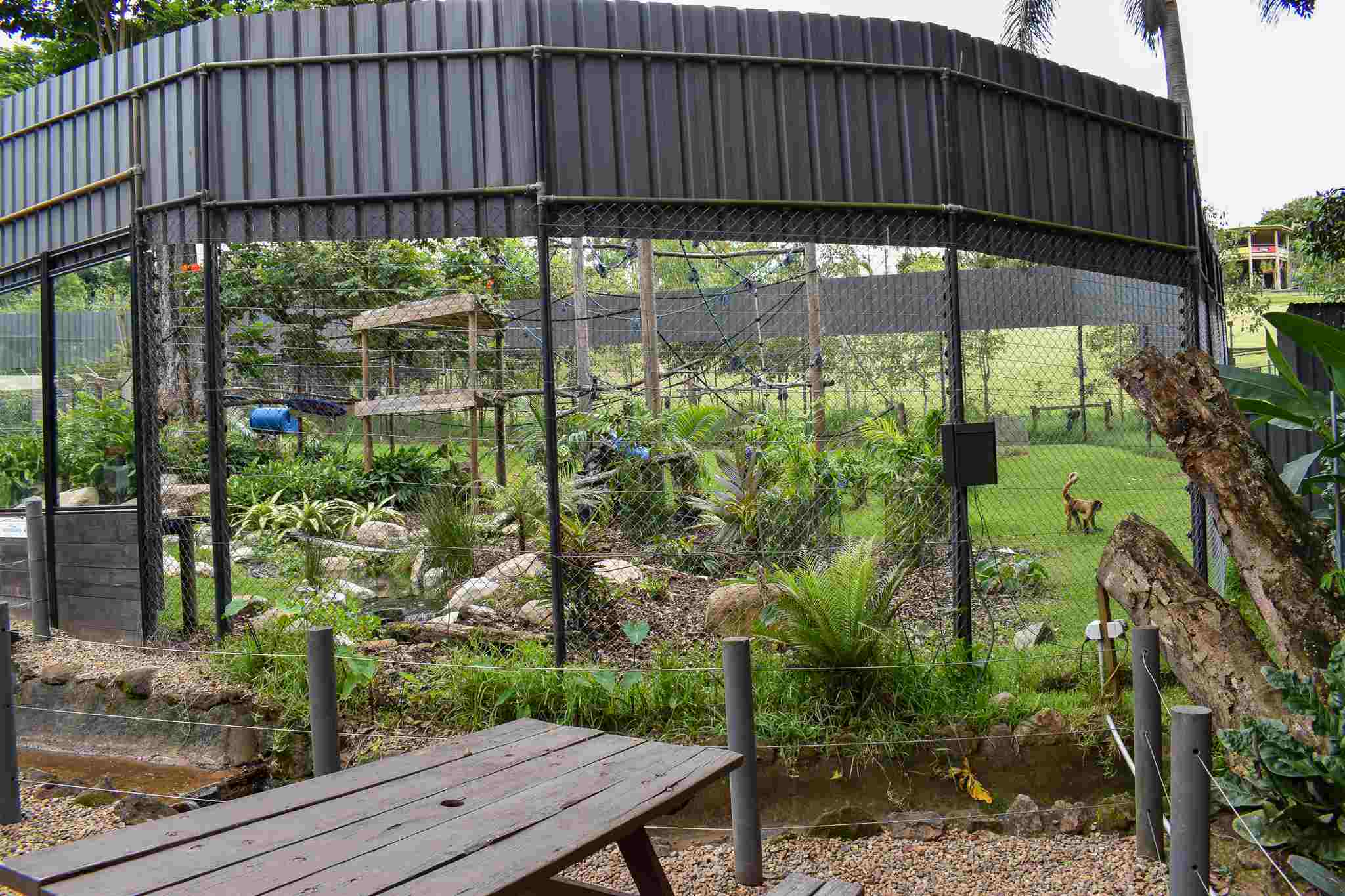 Spider Monkey Enclosure