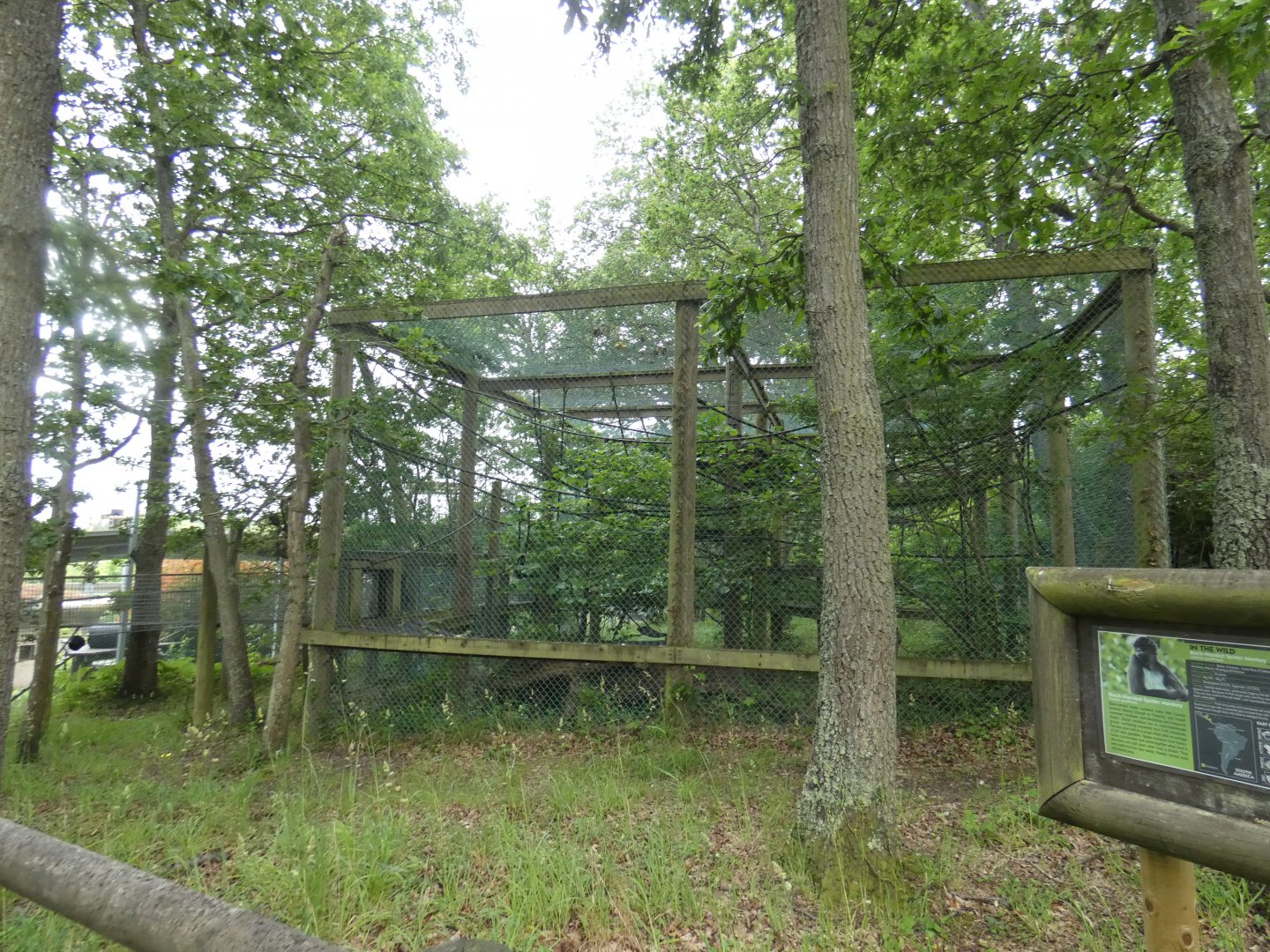 Spider monkey enclosure