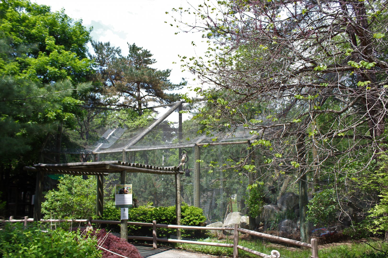 Spider Monkey Enclosure
