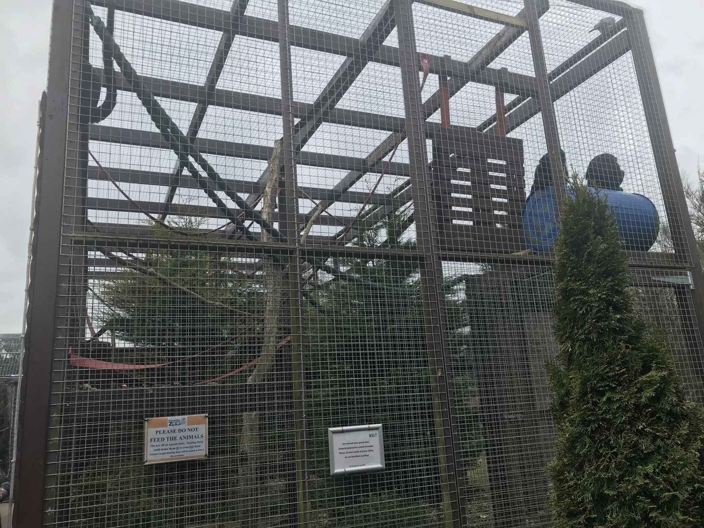Spider monkey enclosure