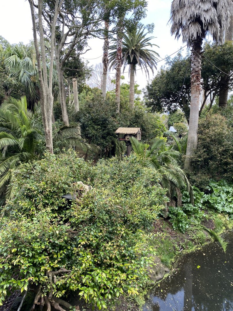 Spider Monkey enclosure