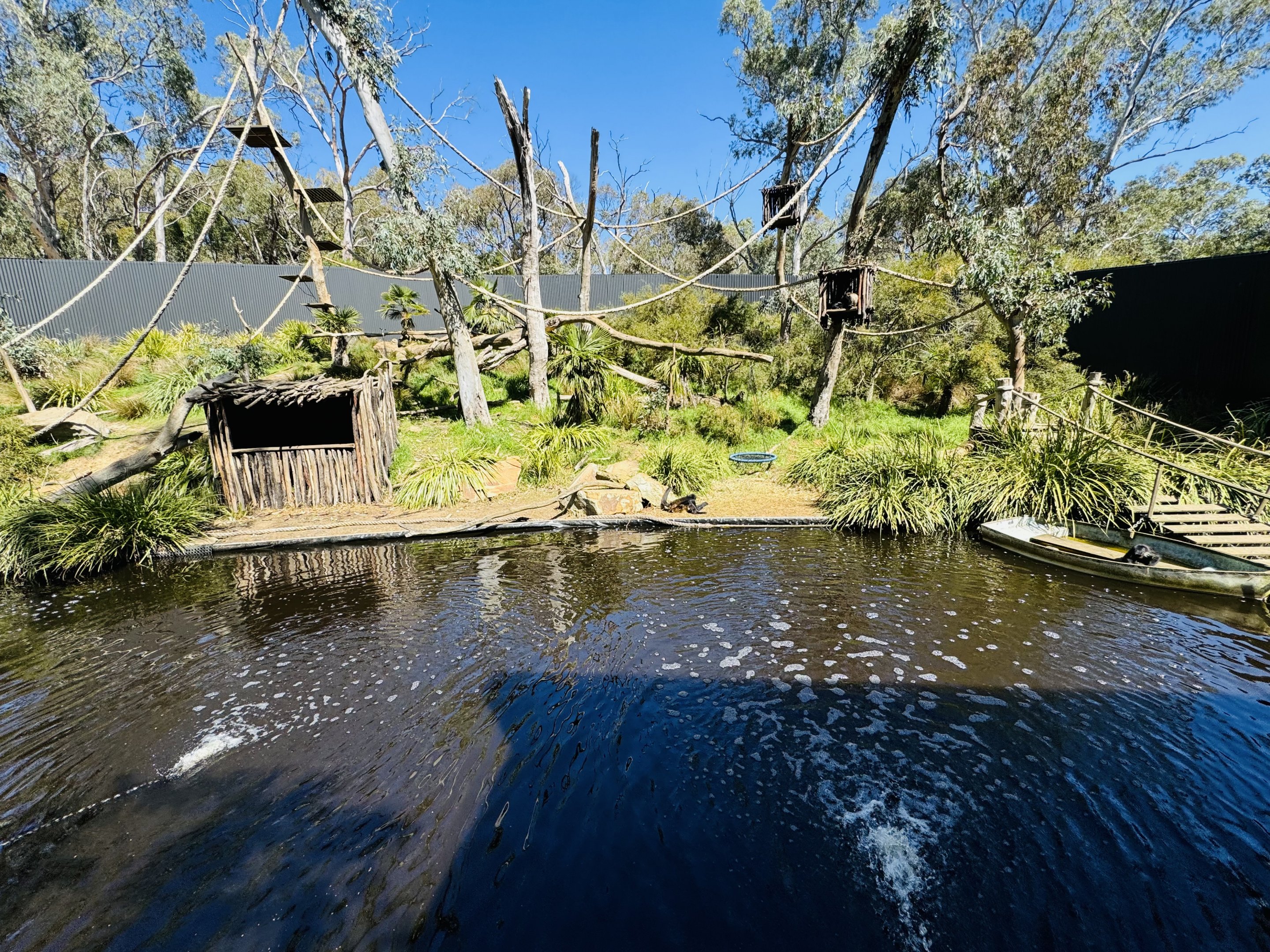 Spider monkey enclosure