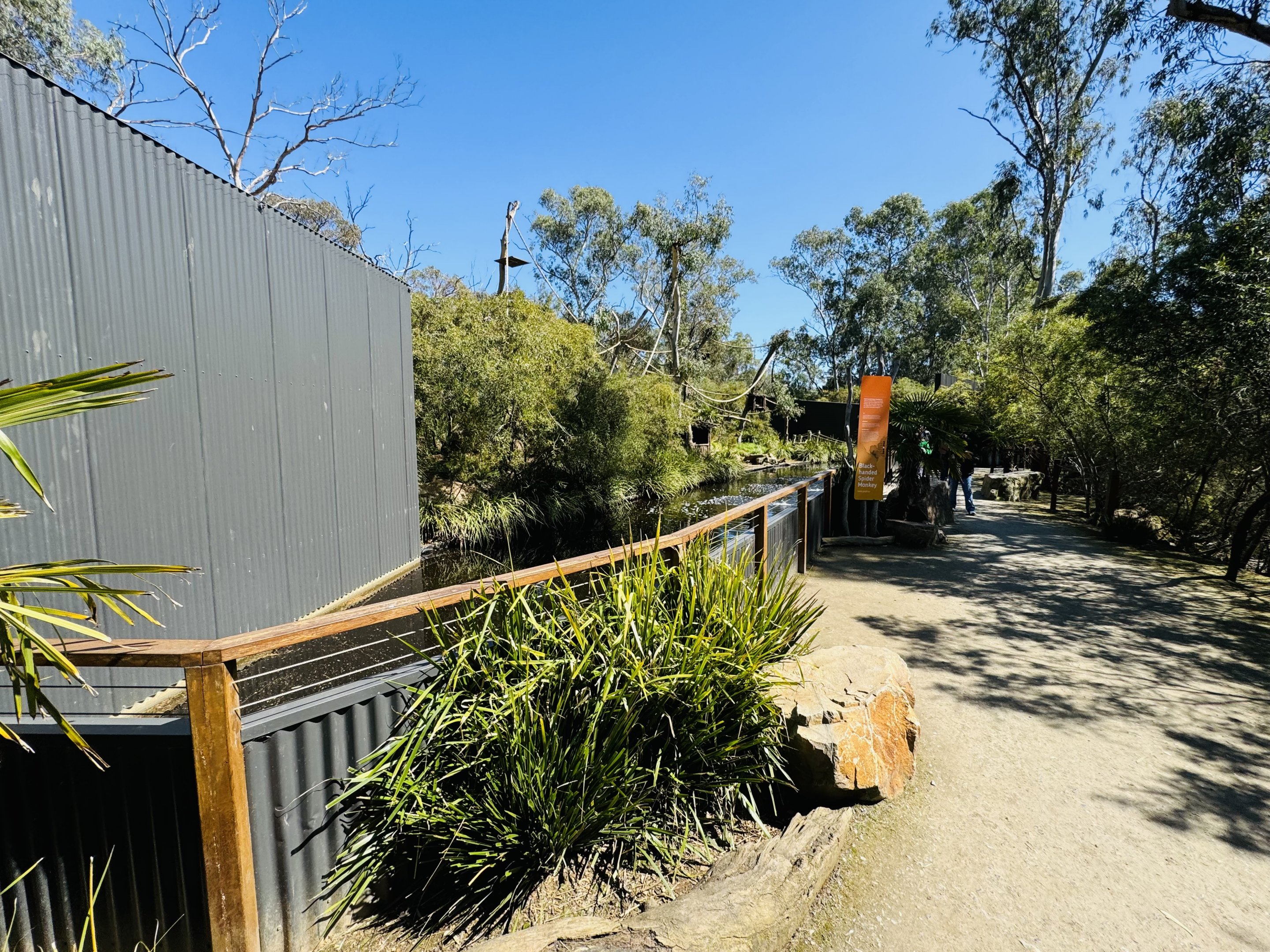 Spider monkey enclosure