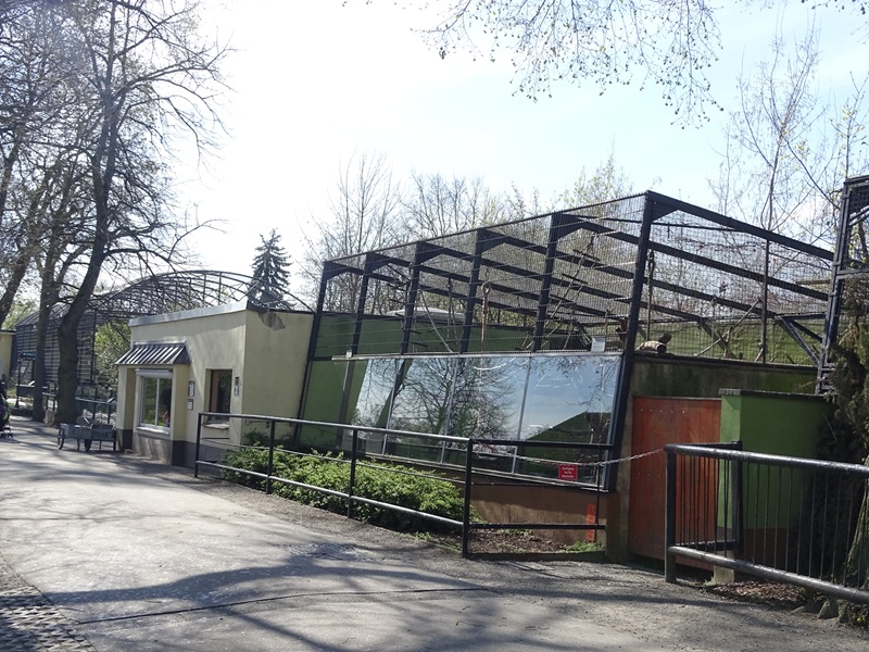 Spider monkey enclosure