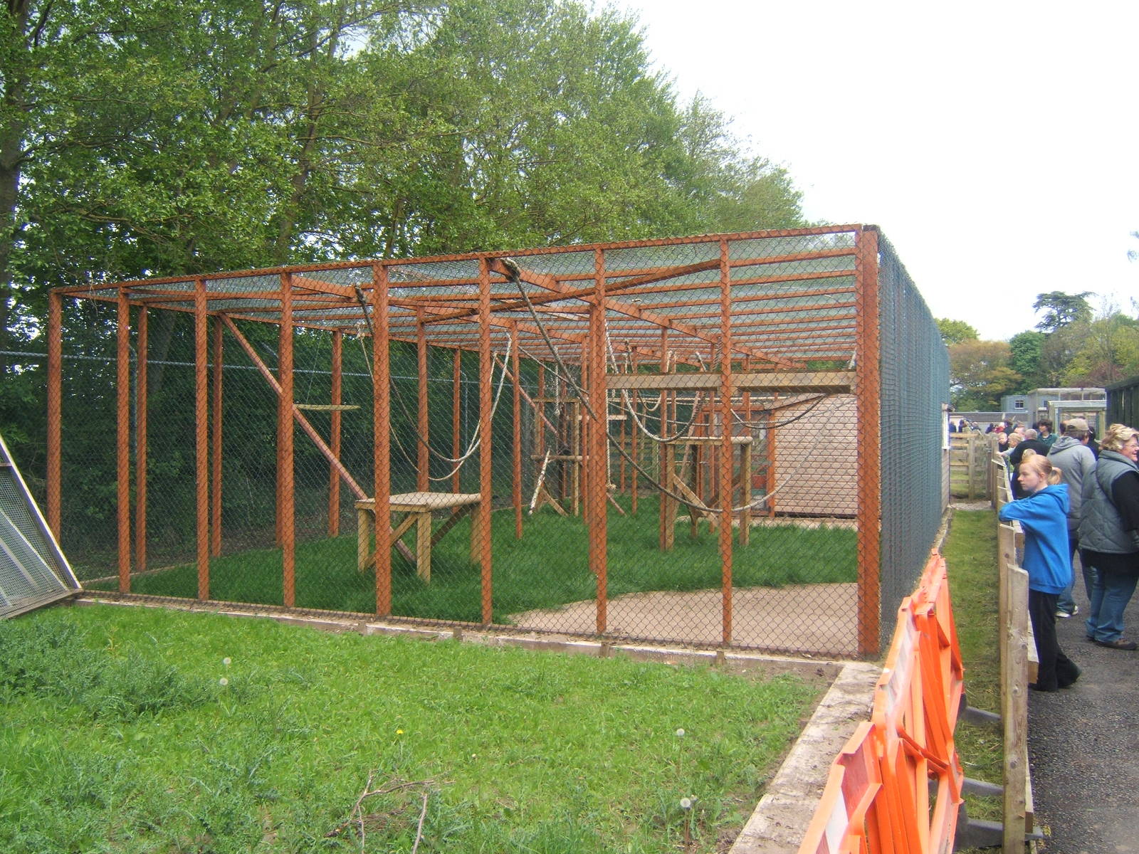 Spider Monkey enclosure