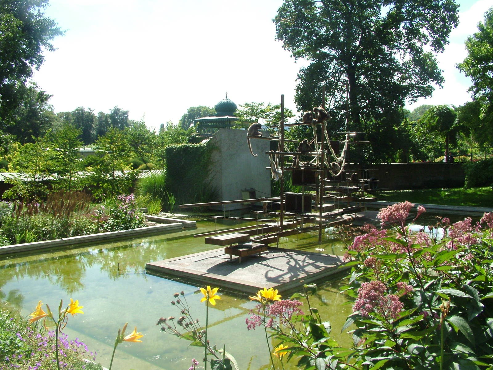 Spider Monkey Exhibit at Wilhelma, Stuttgart 02/09/10