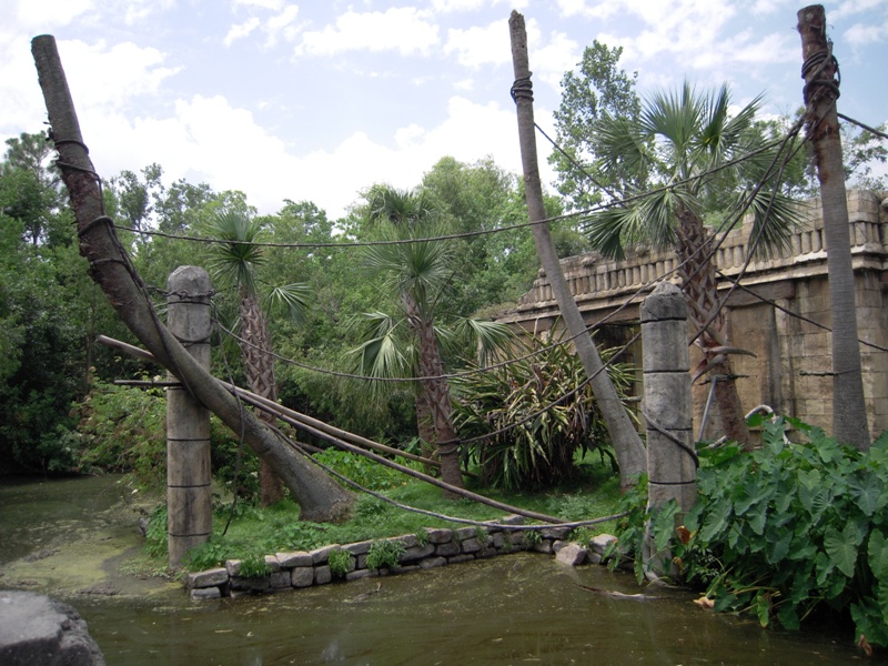Spider Monkey Exhibit - Jaguar Jungle