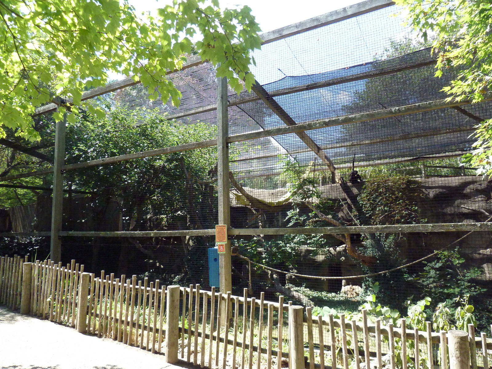 Spider Monkey Exhibit