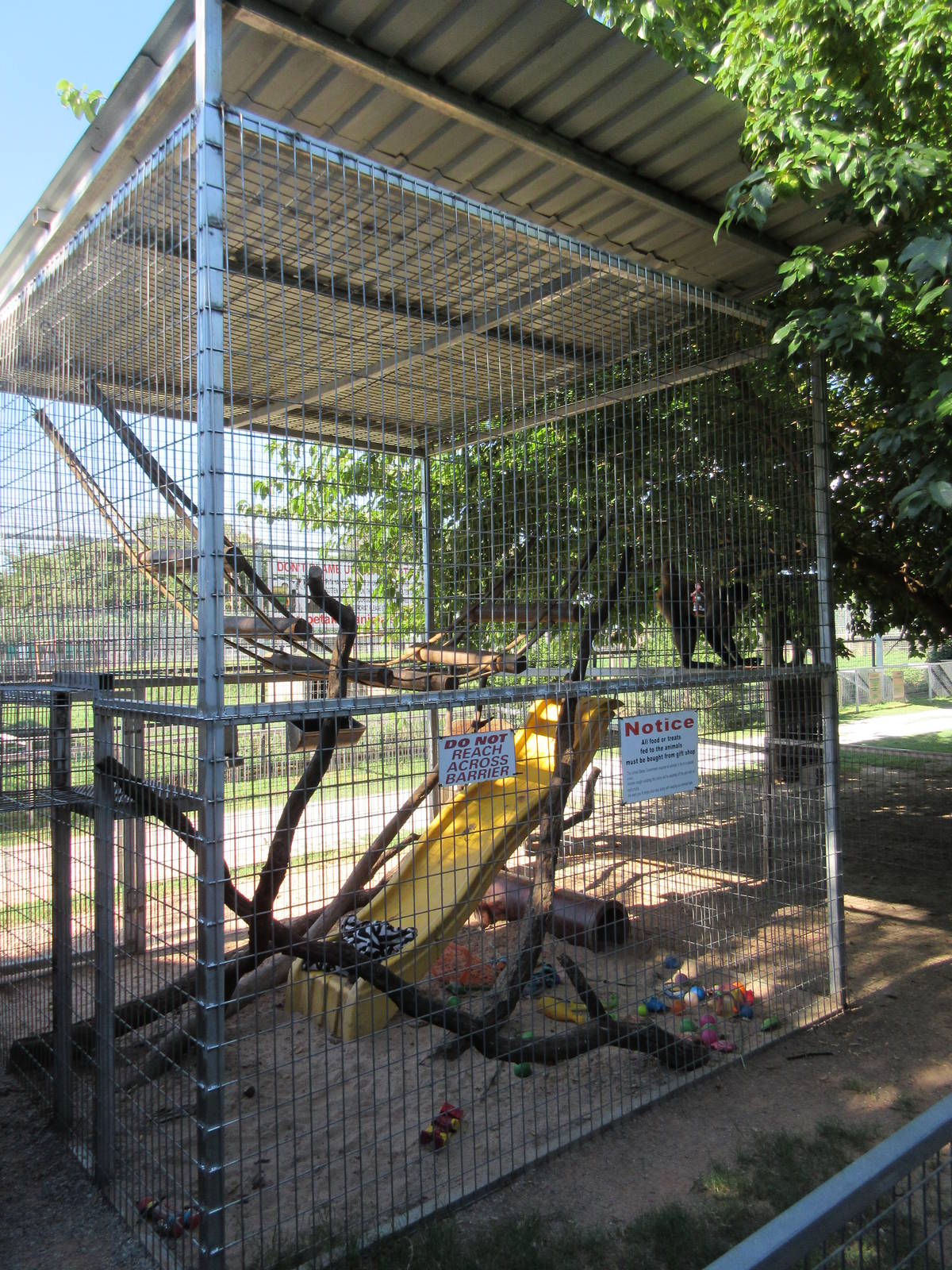 Spider Monkey Exhibit