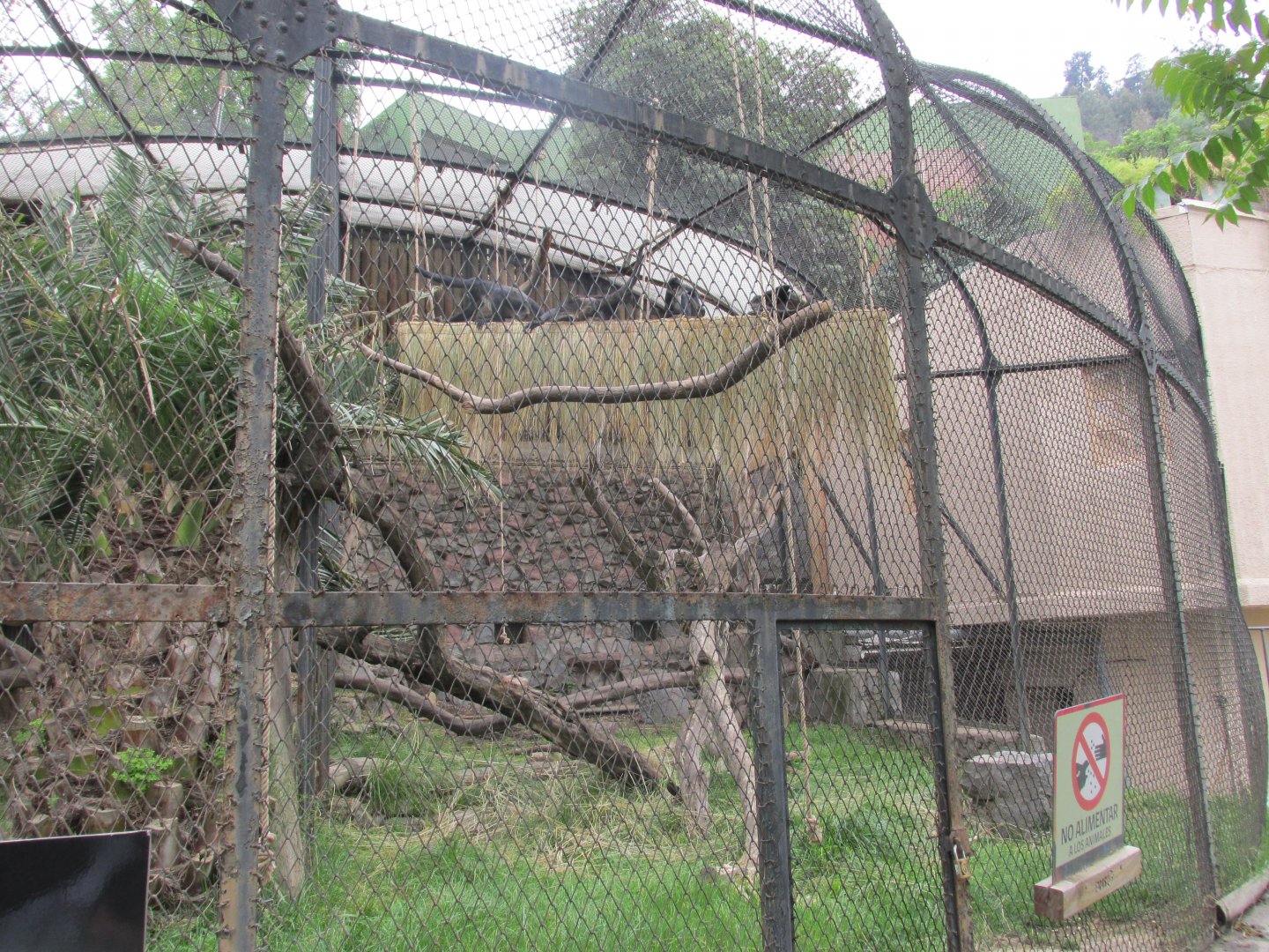 spider monkey exhibit