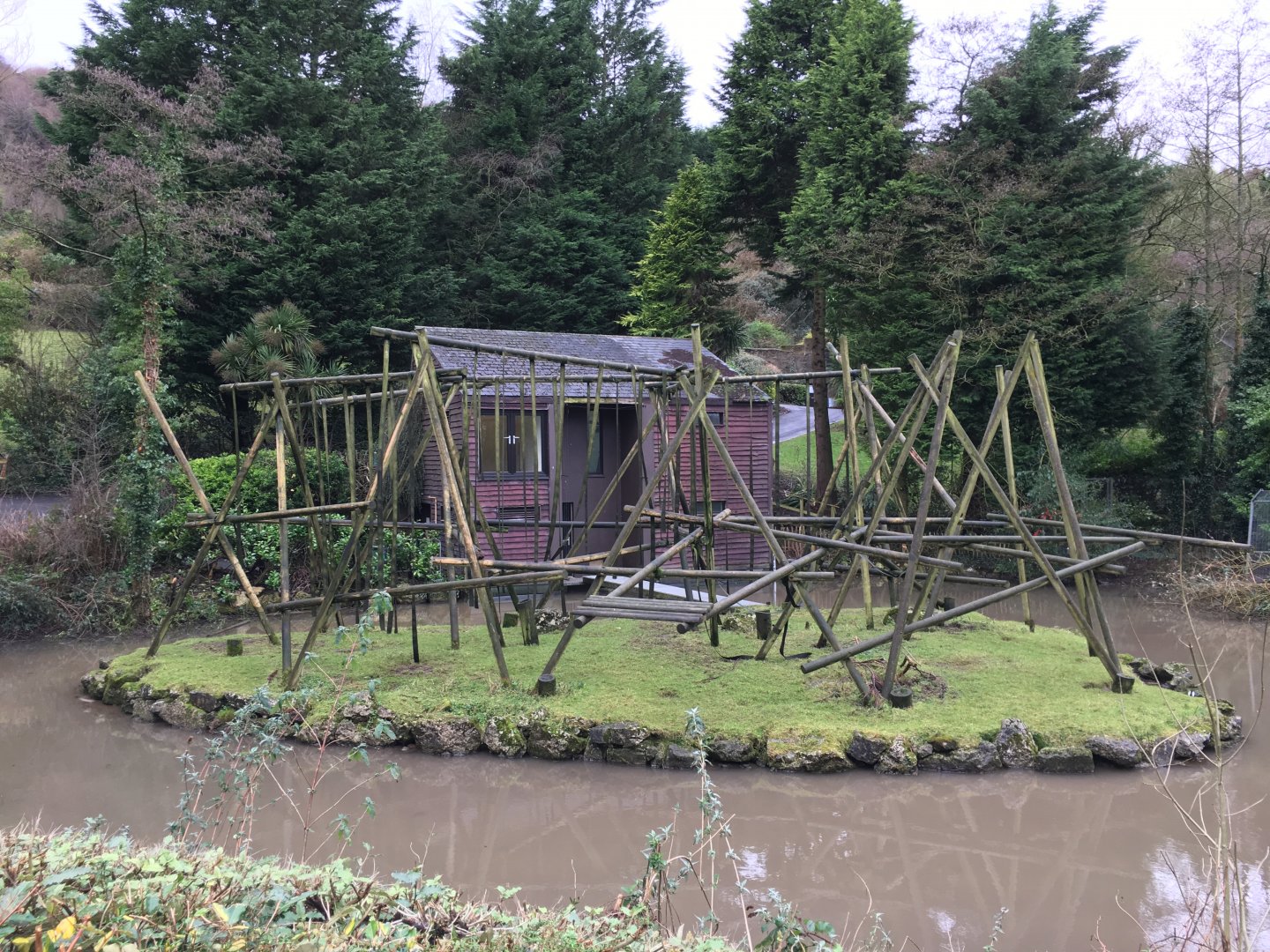 Spider Monkey Exhibit