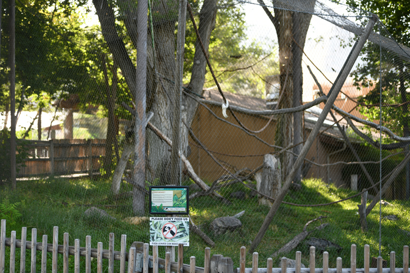 spider monkey exhibit