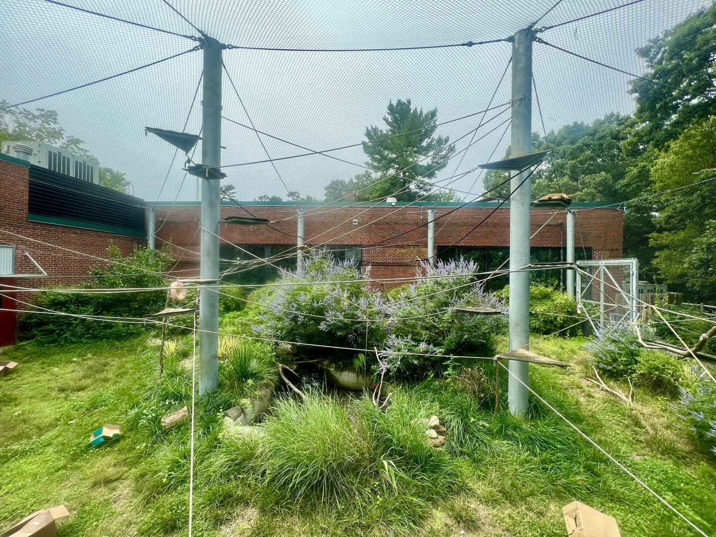 Spider Monkey Exhibit