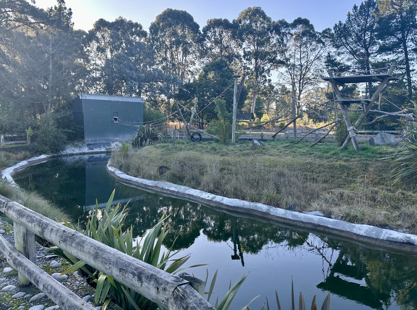 Spider Monkey Exhibit