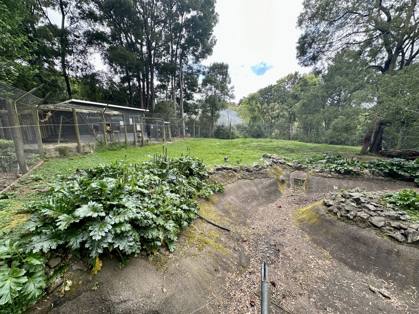 Spider Monkey Exhibit