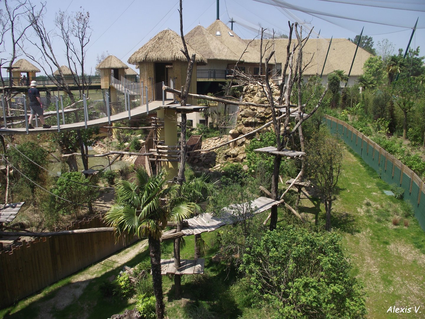 Spider Monkey & Giant Anteater exhibit (South American aviary) - Zooparc de Beauval - 06/2023
