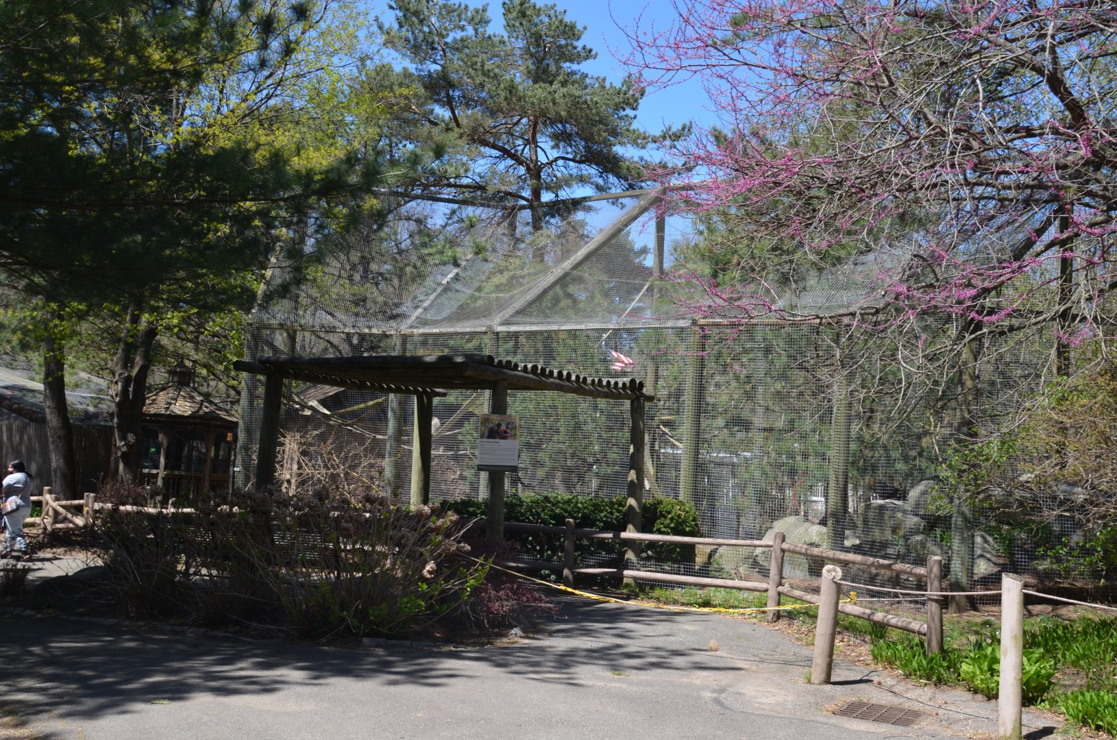 Spider Monkey Habitat