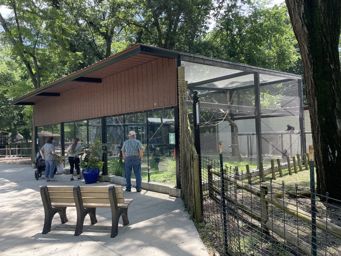 Spider Monkey Habitat