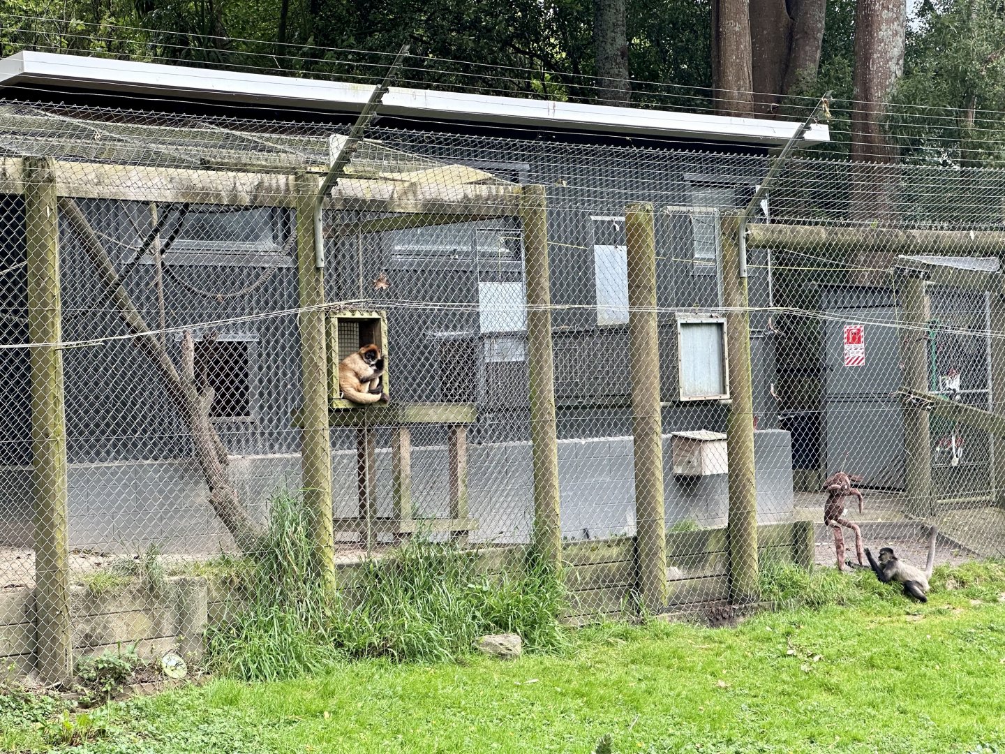 Spider Monkey House (Exterior)