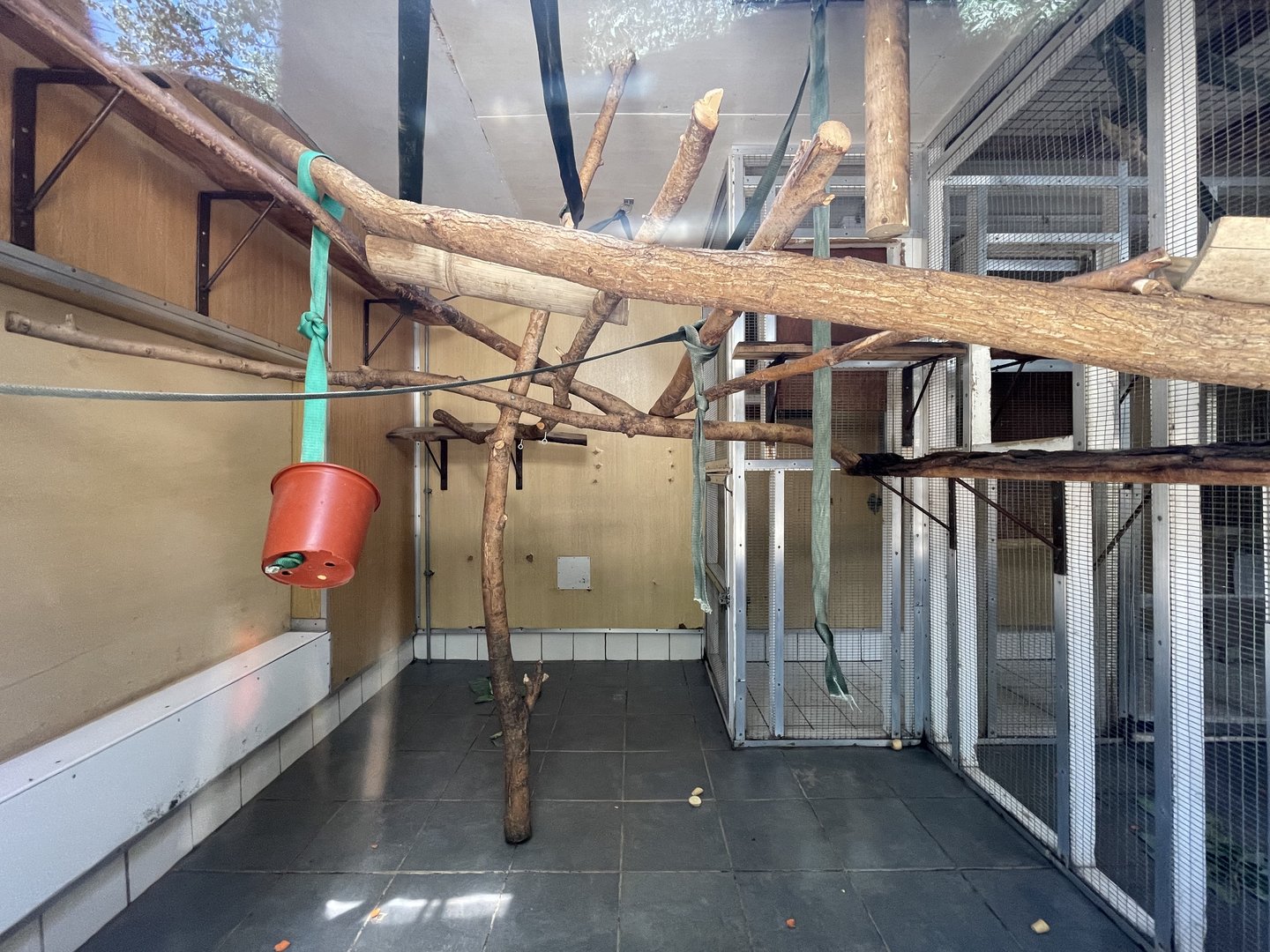 Spider Monkey Indoor Quarters