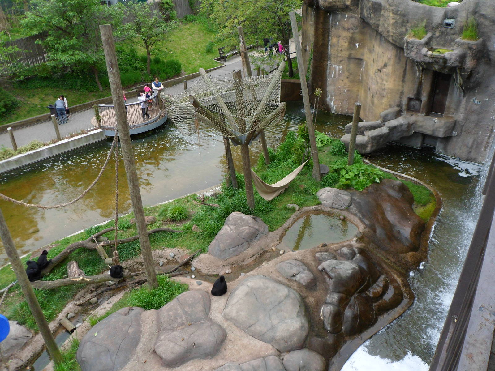 Spider Monkey Island From Above