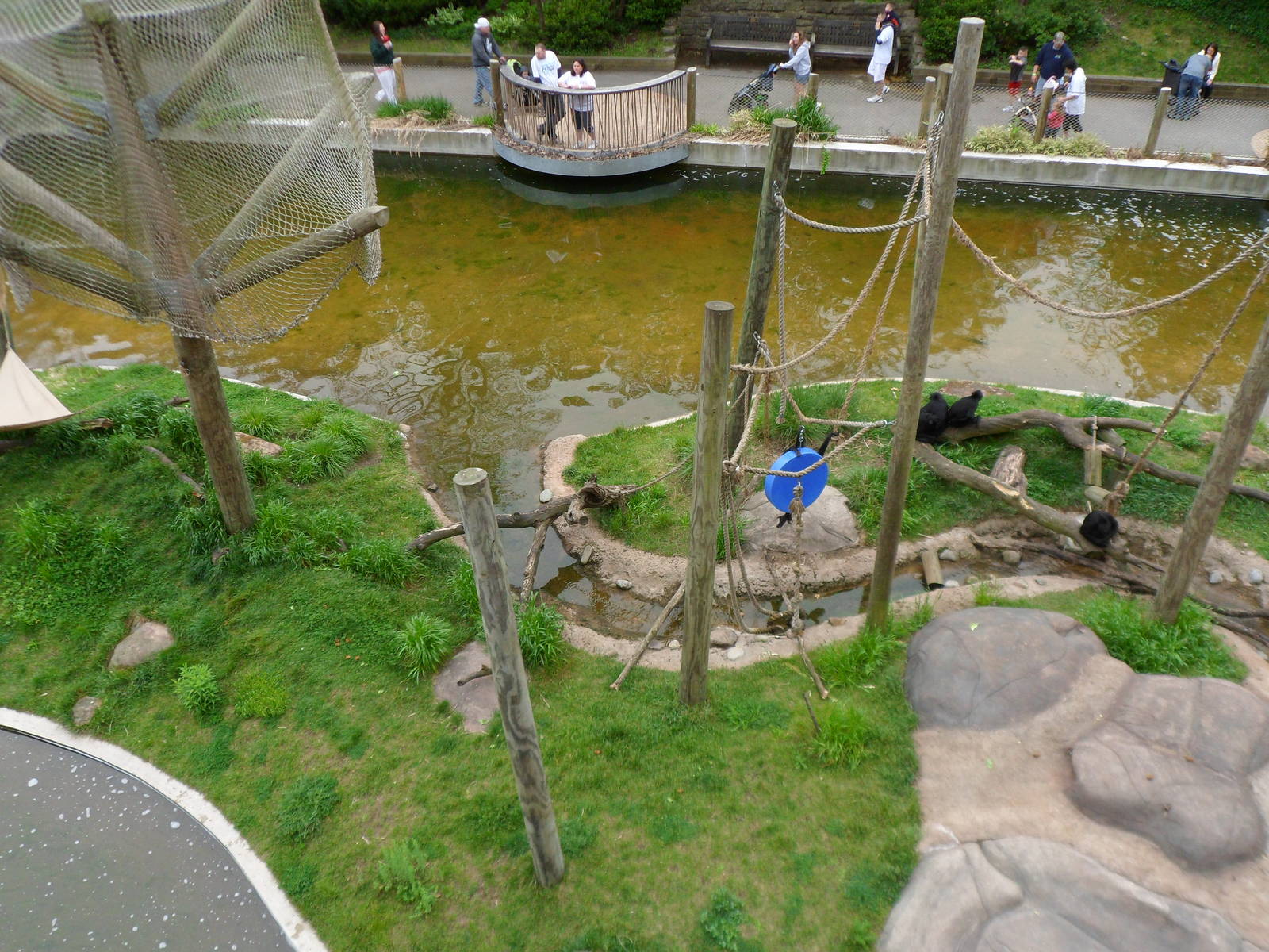 Spider Monkey Island From Above